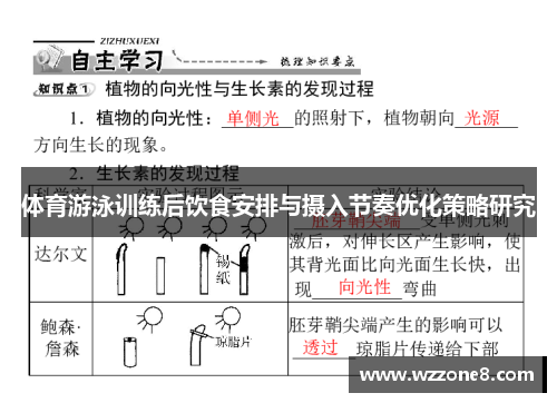 体育游泳训练后饮食安排与摄入节奏优化策略研究